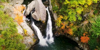 water fall with foliage