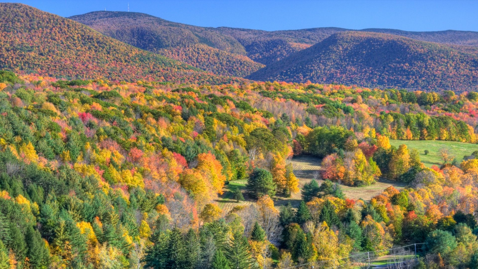 the rolling hills of the berkshires covered in fall foliage