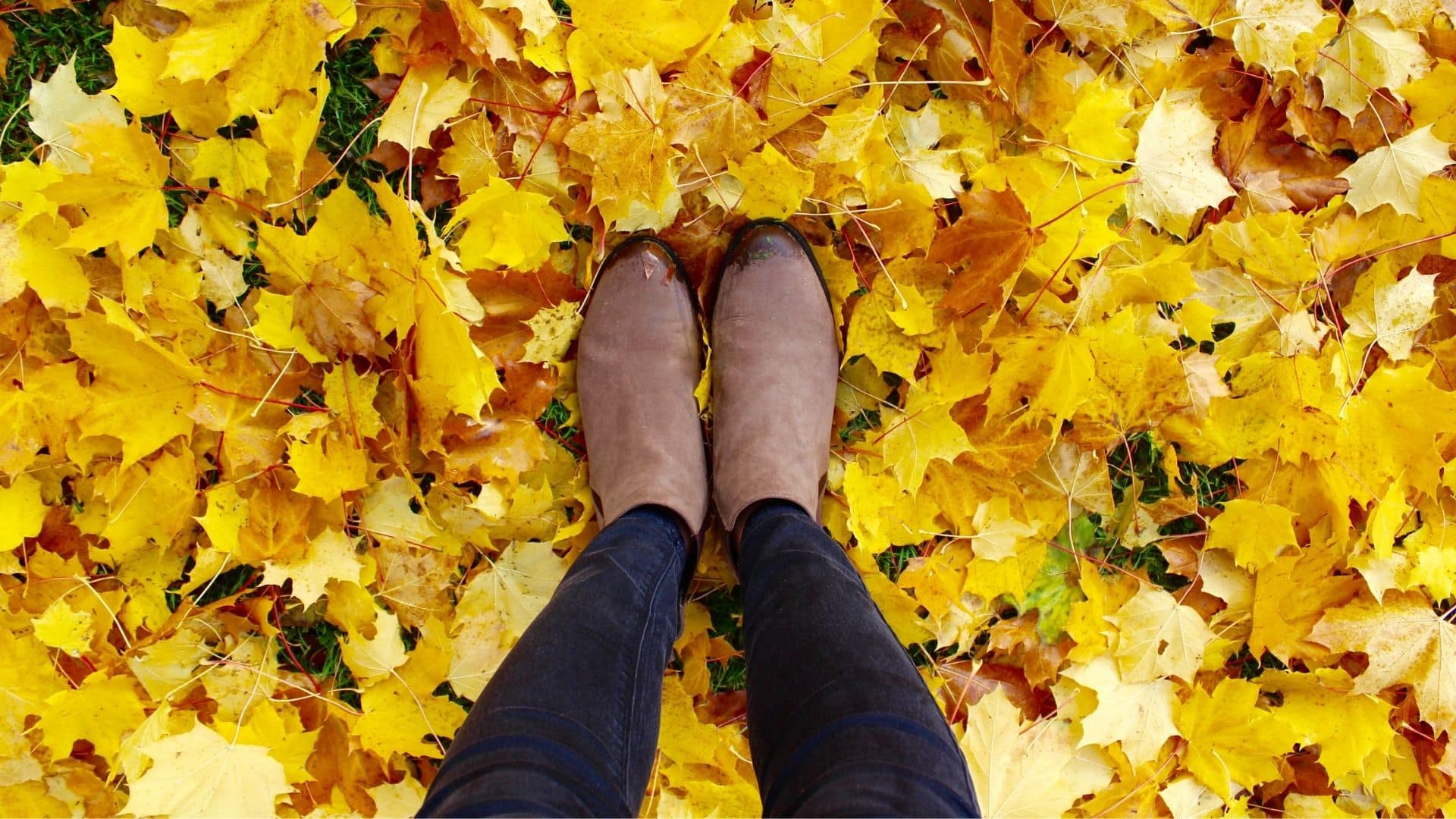 a person standing in yellow leaves