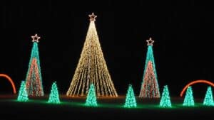 christmas twinkling lights on multiple cone-shaped trees